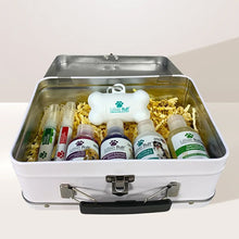 Load image into Gallery viewer, Premium Lunch Box Travel Set